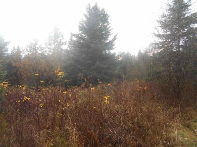 0 Brook Park Rd, Stewartstown, NH 03576 - photo 4