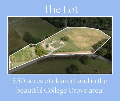 6815 Bizzell Howell Ln, College Grove, TN 37046 - photo 4