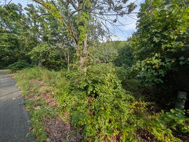 Lot 9 Azalea Ln, Ruth C Township, MO 65737 - photo 5