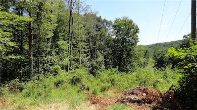 TBD Glendale Rd, New Cumberland, WV 26047 - photo 2