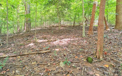 0 Oak Hollow Ct unit 328869, Ellijay, GA 30540 - photo 2