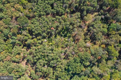 0 Waylynn Rd unit WVHS113242, Augusta, WV 26704 - photo 5