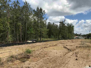 182 Acres Highway 378 unit Tract 2, Conway, SC 29527 - photo 3