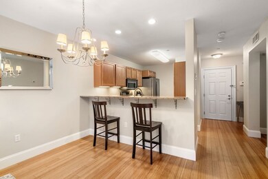 773 Concord Ave unit 305, Cambridge, MA 02138 - photo 5