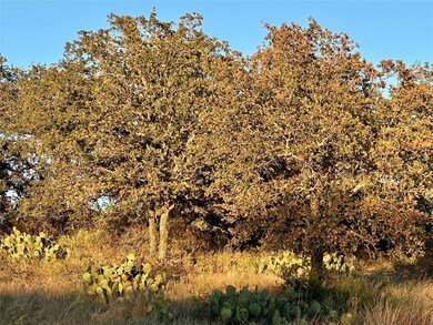 2112-C County Road 126, Gordon, TX 76453 - photo 6