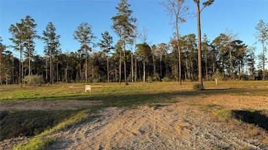 20039 Kincaid Dr, Conroe, TX 77306 - photo 5