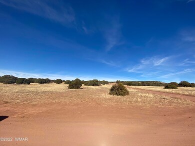 1AEE359B-2419-4C7E-9151-474F8EA86F1F