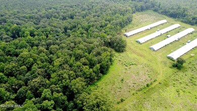 0 Basstown Rd, Clinton, NC 28328 - photo 6