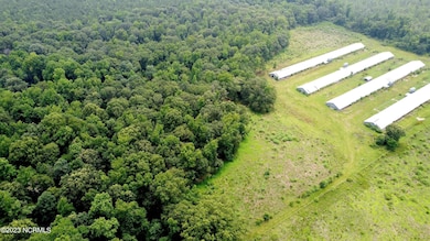 1399 Basstown Rd, Clinton, NC 28328 - photo 6