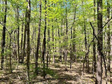 0 Weoka Rd unit 24327698, Wetumpka, AL 36092 - photo 4