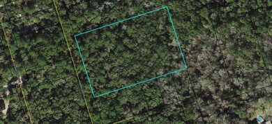 75 Simmie Dr, Crawfordville, FL 32327 - photo 4