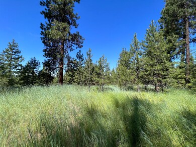 IMG_8593
