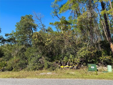 LOT 11 Tulip Ave, Eustis, FL 32736 - photo 6