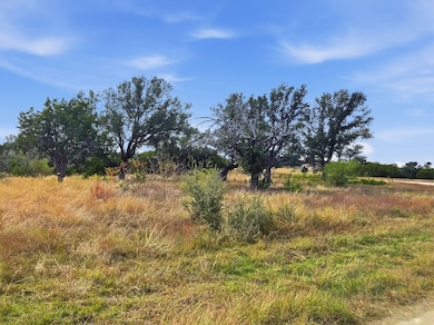 Lot 25 & 26 Ph 4 Private Road 4212, Evant, TX 76525 - photo 2