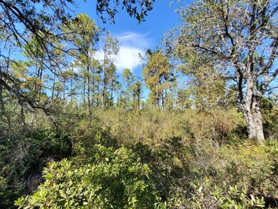 0 County Line Rd unit 18864854, Lee, FL 32059 - photo 6