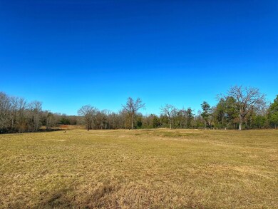 610 Fcr 301, Oakwood, TX 75855 - photo 4