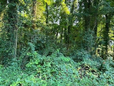 View of nature