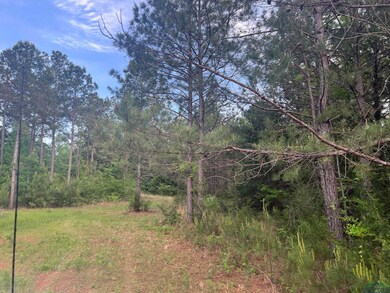View of nature featuring a view of trees