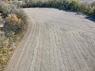 00 Patricia Rd, Germantown Township, IL 62245 - photo 4