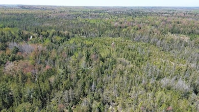 Us 23 Lot unit WP001, Ossineke, MI 48381 - photo 2