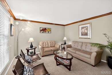 2316 Coventry Farm Ct, Chesterfield, MO 63017 - photo 7