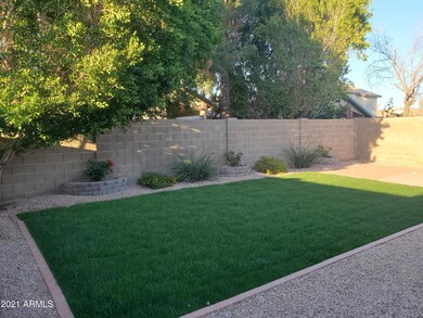 Back Grass