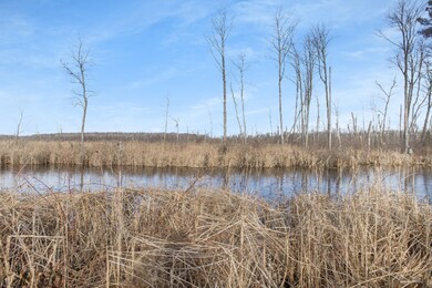 3112 Rolling Hill Ave, Portage, MI 49024 - photo 5