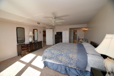 Essex House unit 606, Saint Petersburg, FL 33715 - photo 7