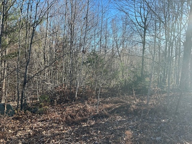 Lot 138 Pennmaric Rd, Augusta, ME 04330 - photo 3