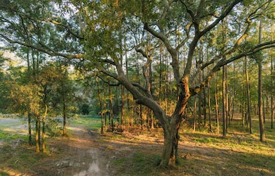 0 Haswell St, Charleston, SC 29492 - photo 7