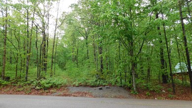 lot 195a