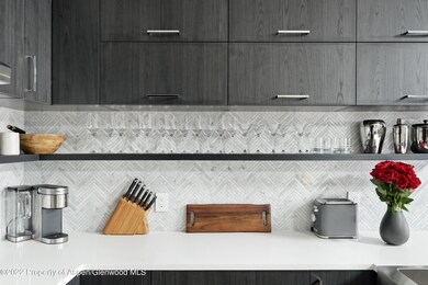 450 S Original St unit 8, Aspen, CO 81611 - photo 7