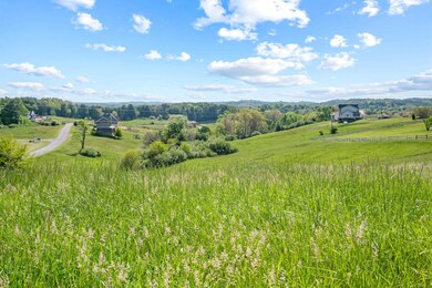 0 Turman Lot 25 Dr unit 420979, Riner, VA 24149 - photo 6