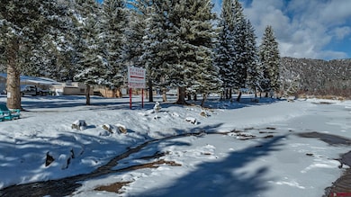 18201 Colorado 133, Somerset, CO 81434 - photo 3