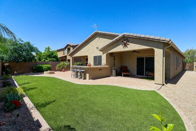 backyard2