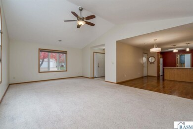 113 Blue Bird Path, Mankato, MN 56001 - photo 3