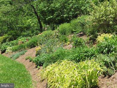 38 & 50 Black Bear Trail, Washington, VA 22747 - photo 3