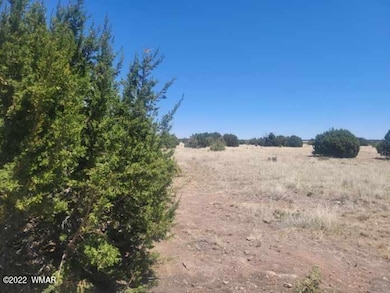 Resized_20220601_111653