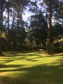 234 Iris Ln, Pineville, LA 71360 - photo 2