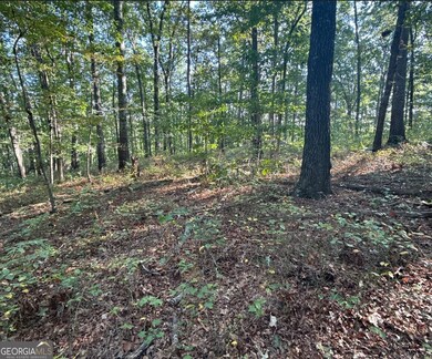 0 Turkey Ct unit LOT 42 & 46, Waco, GA 30182 - photo 7