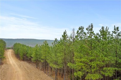 0 Lot 101 unit 989477, Broken Bow, OK 74728 - photo 3