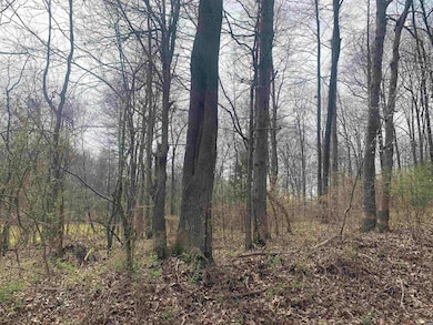 00 Works Rd, Crutchfield, KY 42041 - photo 7