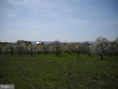 0 Buffalo Marsh Rd unit 1004780794, Middletown, VA 22645 - photo 4