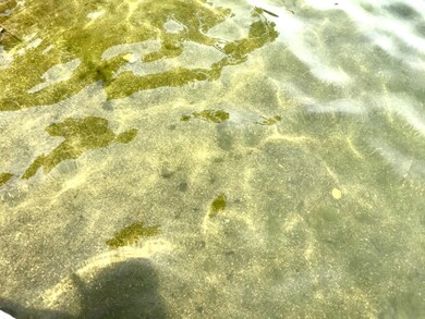 EBC9162F-BB0B-451F-8D22-A82ABE6537AF