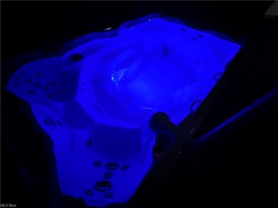 Swim Spa