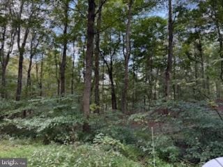 0 Cubby Hole Lane - Lot 25 unit WVMO2006624, Berkeley Springs, WV 25411 - photo 3