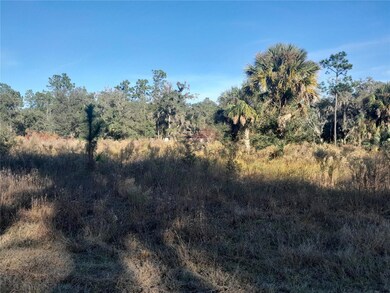 tbd SE 110th Ave, Inglis, FL 34449 - photo 3