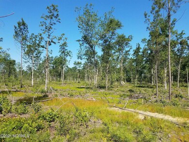 81 acres cromartie rd 6