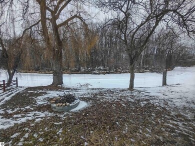 435 N Main St, Au Gres, MI 48703 - photo 5