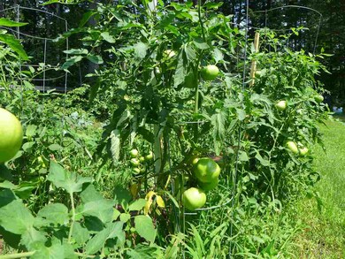 31 Emerald Ln, Hillsborough, NH 03244 - photo 6